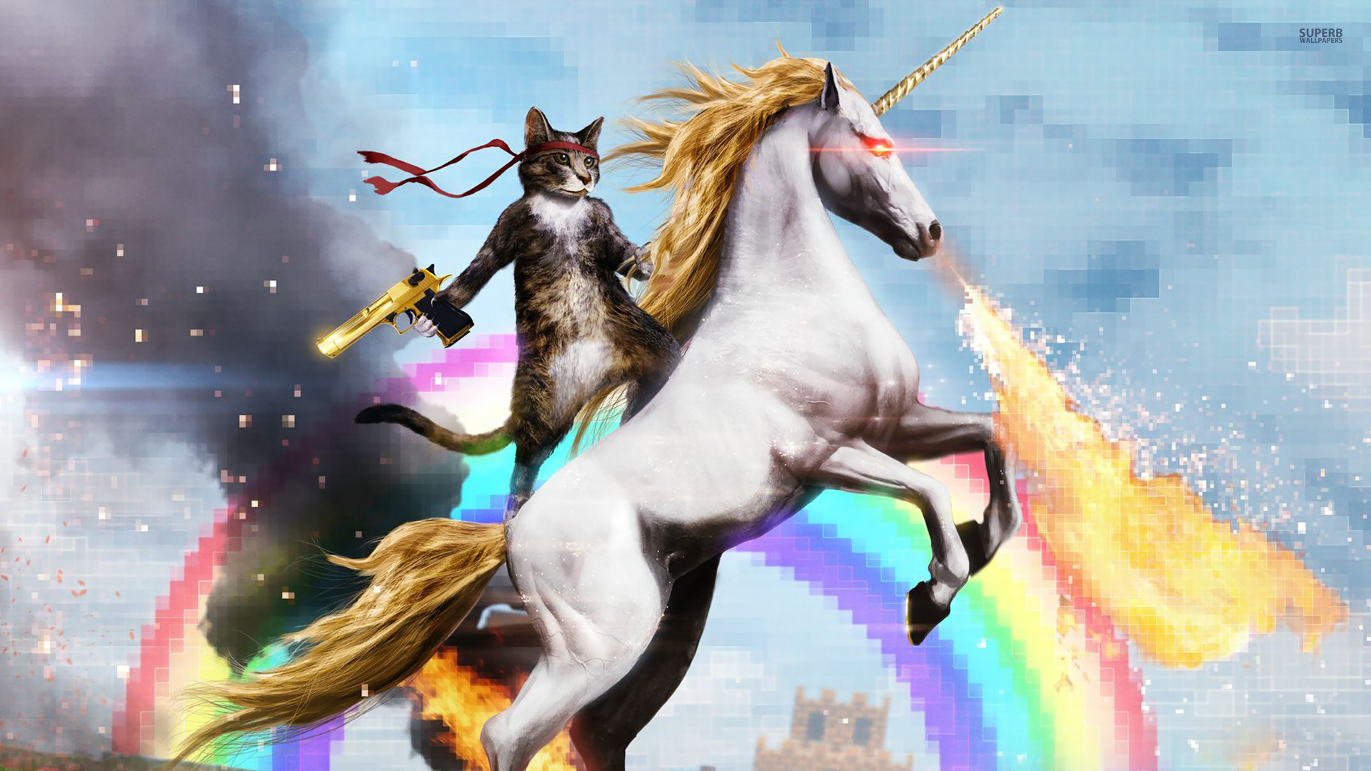 cat-riding-a-fire-breathing-unicorn